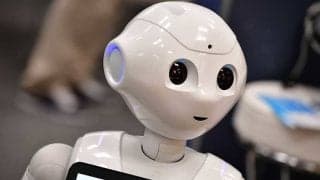 “ロボット応援団”を海外称賛　未来的なプロ野球の客席に脚光「日本人には才能ある」