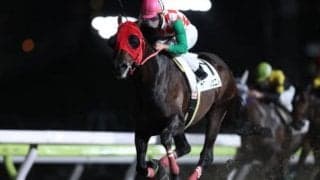 【ジュライ賞】サブノジュニアが圧倒的人気に応え通算10勝目！