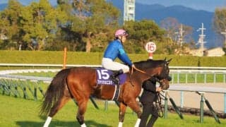 【スパーキングレディーC】JRA出走予定馬