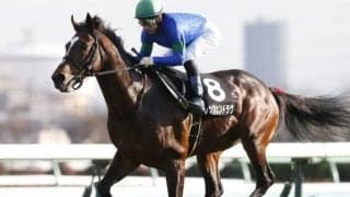 【七夕賞】賞金上位馬が全頭出走し、アンノートルとグローブシアターが除外