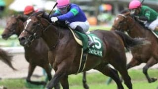 【七夕賞枠順確定】クレッシェンドラヴは2枠3番、ジナンボーは3枠6番