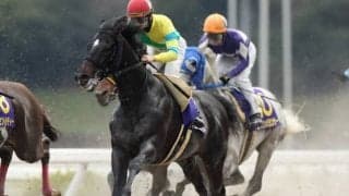 【プロキオンS枠順確定】サクセスエナジーは7枠14番、サンライズノヴァは3枠6番