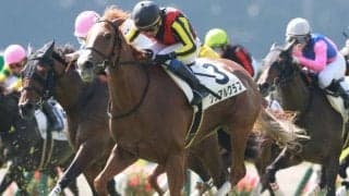 【本日の注目ポイント】注目2歳馬が続々デビュー！メインは3場とも3勝クラス