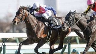 【函館記念想定】巴賞逃げ切ったトーラスジェミニ、巻き返し期すレッドサイオンなど16頭