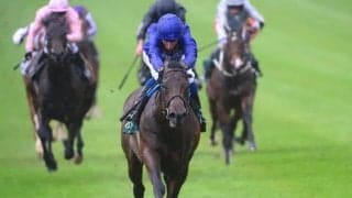 【仏・ジャンプラ賞】欧州2歳王者ピナトゥボは4番枠、仏2000ギニー3着アルソンは10番枠