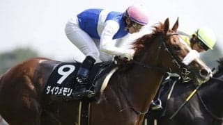 【JRA】ダイワスカーレットの娘ダイワメモリーが死亡、競走中に急性心不全