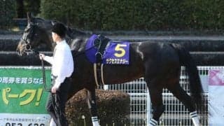 【プロキオンS予想】絶好枠に入ったサクセスエナジー/JRAレース展望