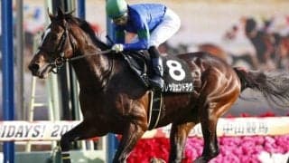 【本日の注目ポイント】福島で七夕賞、阪神でプロキオンS