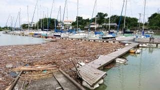 九州地方の大雨被害とコロナ禍のセーリング情報