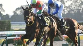 【七夕賞予想】マイネルサーパスの重賞初制覇に期待/JRAレース展望