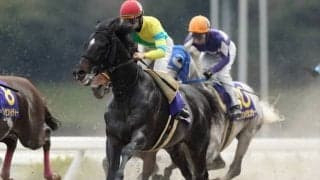 【プロキオンS予想】充実一途のサクセスエナジーに期待/JRAレース展望