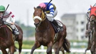 【七夕賞ゴールデンコンビ】「直近5年」の複勝率45.9％、複勝回収率204.9％！「藤岡健一厩舎×酒井学騎手」のヴァンケドミンゴ