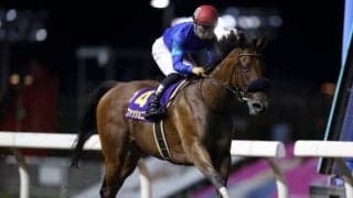 【川崎・スパーキングレディーC枠順確定】ファッショニスタは1枠1番、サルサディオーネは7枠8番