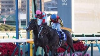 タイムフライヤーが2年半ぶりの勝利