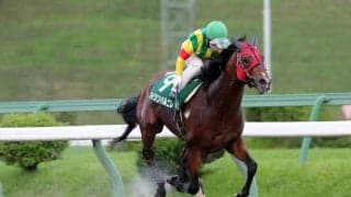 【盛岡・オパールC】地元岩手のエイシンハルニレが優勝！