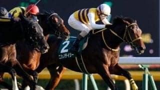 【函館記念見どころ】重賞2勝馬ニシノデイジー、久々のVなるか