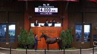 【セレクトセール2020】マイラプソディ半妹が2億4000万円