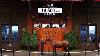 【セレクトセール2020】ワーケアの全妹が1億4500万円で落札