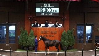 【セレクトセール2020】ディープ産駒が1億9000万円！上場1頭目から高額で落札