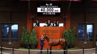 【セレクトセール2020】ディープ産駒が4億で落札