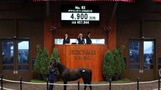 【セレクトセール2020】デアリングタクトの全妹が4900万円で落札