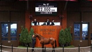 【セレクトセール2020】アブソリュートレディ19が2億2000万円！金子真人ホールディングスが落札