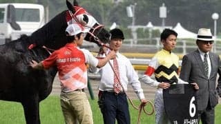 【先週のJRA抹消馬】オープン馬ドリームキラリ・アンノートル、岩手重賞2勝スタークニナガなど