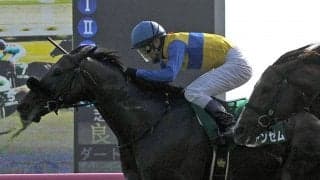 【セレクトセール2020】エアアンセム半弟が7000万円で落札