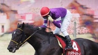 【セレクトセール2020】ジェネラーレウーノ全弟が1800万円で落札