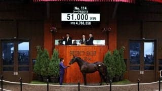 【セレクトセール2020】ディープ産駒が5億円超え