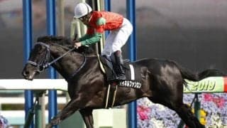 【函館記念展望】函館開催の締めくくる一戦、あの馬の巻き返しを期待したい