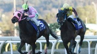 【門別競馬情報】北のダービー2着馬シンボが函館「横津岳特別」を逃げ切りV！常に要チェックの門別競馬、今夜メイン11Rは「サトノダイヤモンド・プレミアム」/地方競馬情報