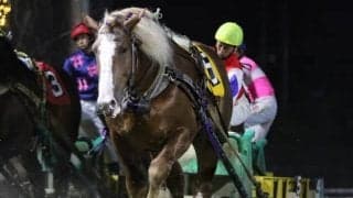 ばんえいの西謙一騎手が通算1500勝達成！「常に安定した騎乗を」