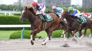 【プロキオンS】サンライズノヴァが貫禄の勝利！大外一気で差し切る