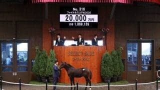 【セレクトセール2020】ロードカナロア産駒が2億円