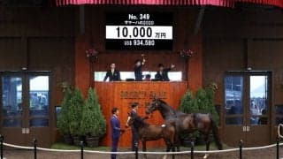 【セレクトセール2020】サトノダイヤモンド産駒が1億円