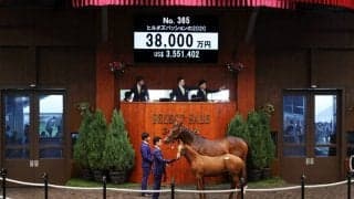 【セレクトセール2020】ヨシダの全弟が3億8000万円で落札