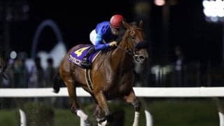 【スパーキングLC予想】 ポイントは地方所属馬の取捨！ 注目すべきは調教捜査官の目に留まった、好時計を叩き出した地方馬/地方競馬レース展望