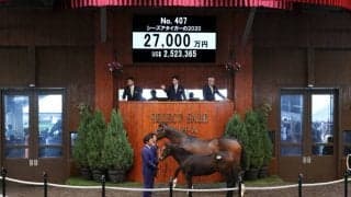 【セレクトセール2020】ハーツクライ当歳が2億7000万円