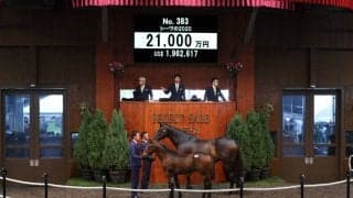 【セレクトセール2020】シーヴの2020が2億1000万円