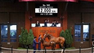 【セレクトセール2020】エピファネイア産駒が1億2000万円