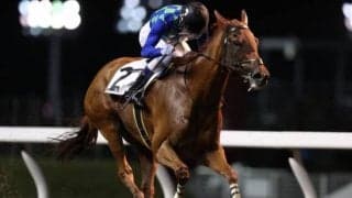 森泰斗騎手が地方競馬通算3000勝を達成！ 圧勝で大台に到達