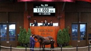 【セレクトセール2020】キタサンブラック産駒当歳が1億超え