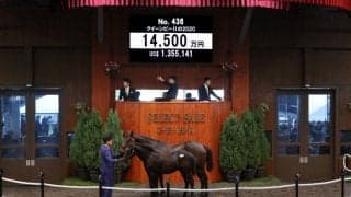 【セレクトセール2020】ドゥラメンテ当歳が1億4500万円