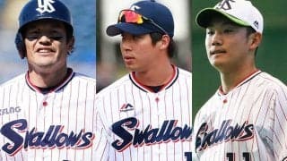 燕イケメンランキング、山田哲人が1位　2位以下は男女で傾向が分かれる結果に