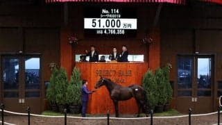 【セレクトセール2020】ディープ産駒13頭のうち9頭が億超え！コロナ禍でも衰え知らず