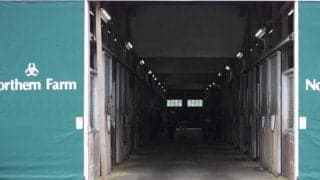 【セレクトセール2020】2日間で187億6200万円の売り上げを記録