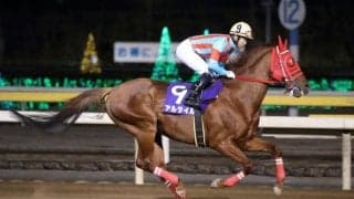 【星雲賞予想】有力馬の能力拮抗で混戦模様のマイル戦！/NARレース展望