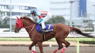【門別競馬情報】二夜連続の重賞開催！まずは“展開の読み”が肝心、内回り1600ｍ「第17回星雲賞H3」/地方競馬情報