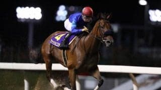 【川崎・スパーキングレディーCオッズ】昨年覇者ファッショニスタらに人気集まる